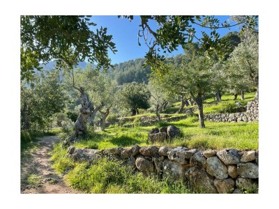 Holiday house Ca´n Moscatell - Environment photo 32