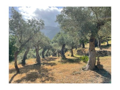 Holiday house Ca´n Moscatell - Environment photo 34