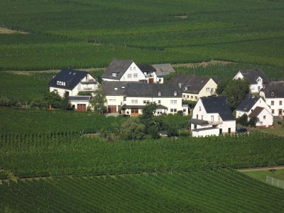 Holiday apartment "Riesling" - Outdoor photo 7