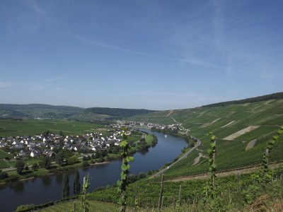 Holiday apartment "Riesling" - Environment photo 26