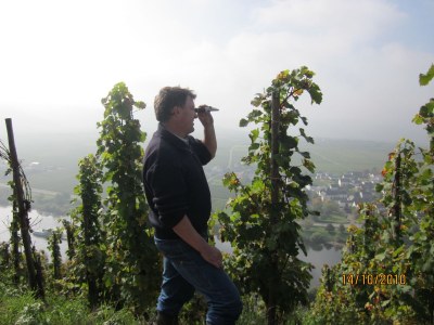 Holiday apartment "Riesling" - Environment photo 28