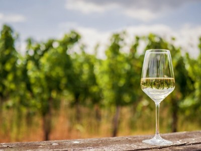 Holiday apartment "Riesling" - Environment photo 32