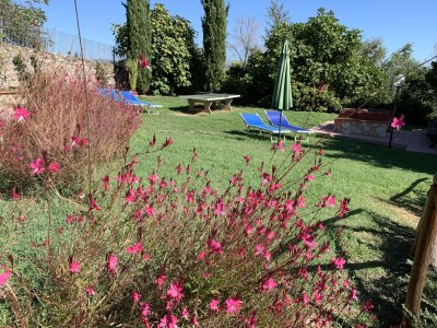 Holiday apartment Ferienwohnung für 2 bis 3 Personen - Outdoor photo 12