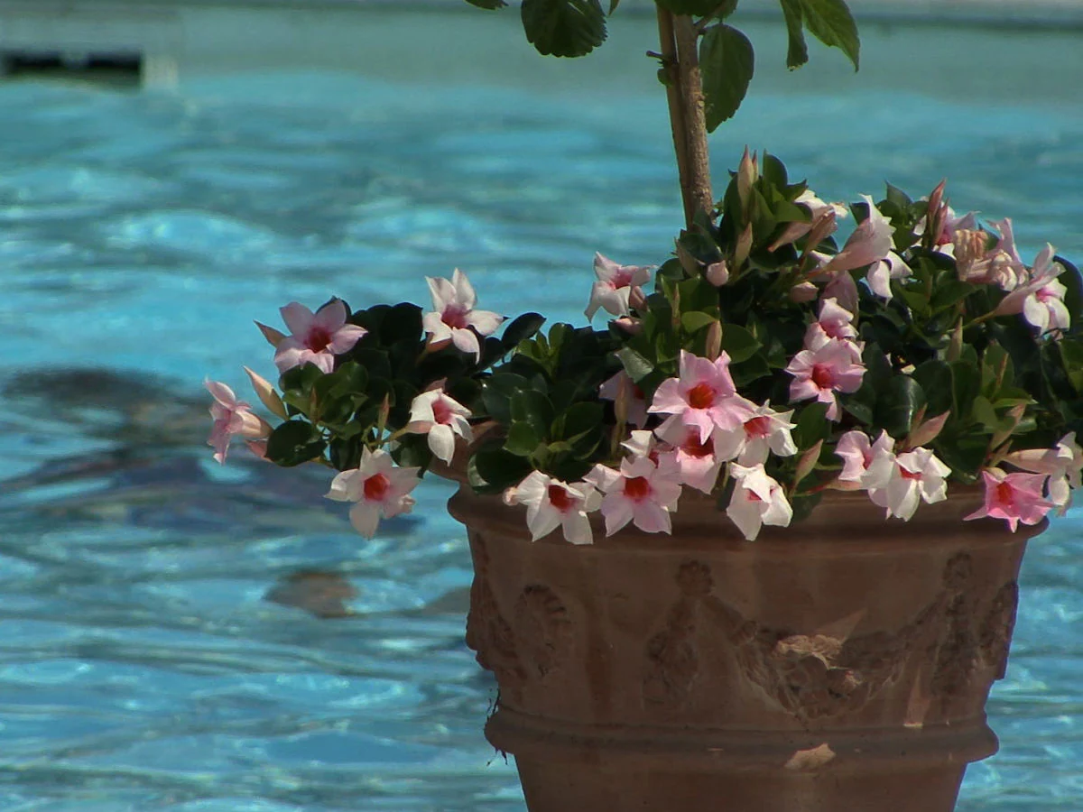 Holiday apartment Chianti - Outdoor photo 2