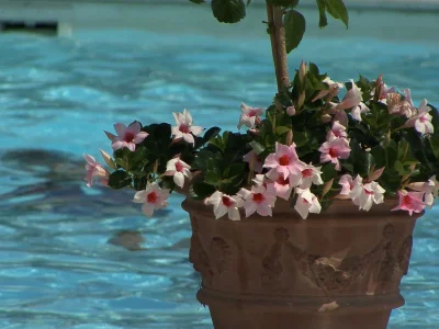 Holiday apartment Chianti - Outdoor photo 2