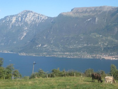 Holiday apartment Chianti - Environment photo 17