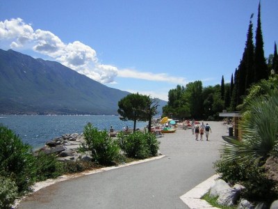 Holiday apartment Chianti - Environment photo 18