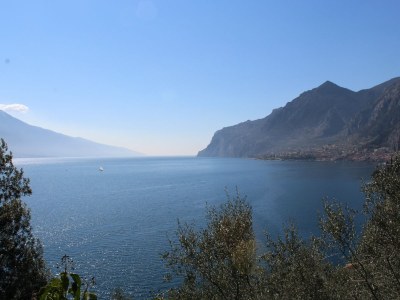 Holiday apartment Chianti - Environment photo 21