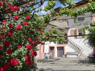 Holiday apartment Stöckerhof - Outdoor photo 6