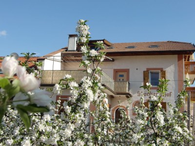 Holiday apartment Stöckerhof - Outdoor photo 7