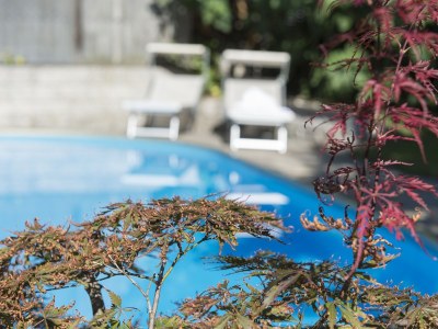 Holiday apartment Stöckerhof - Outdoor photo 8