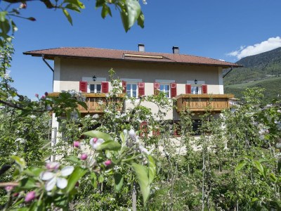 Holiday apartment Stöckerhof - Outdoor photo 9