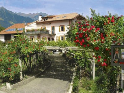 Holiday apartment Stöckerhof - Outdoor photo 13