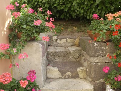 Holiday apartment Stöckerhof - Outdoor photo 15