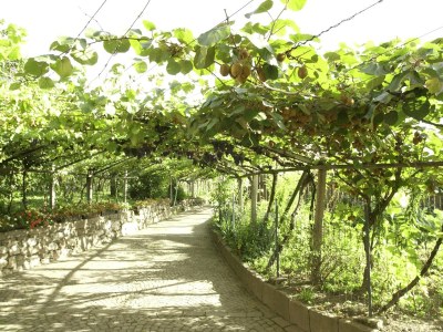 Holiday apartment Stöckerhof - Outdoor photo 16