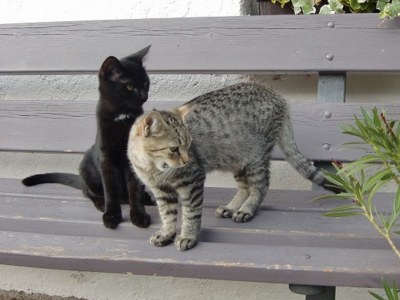 Holiday apartment Stöckerhof - Outdoor photo 17