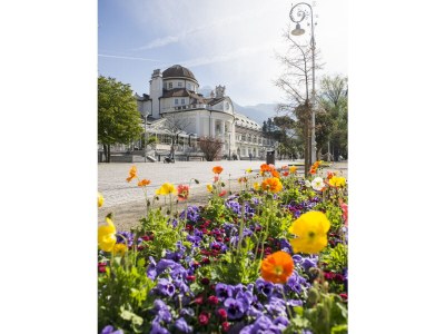 Holiday apartment Stöckerhof - Environment photo 25