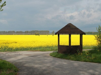 Bungalow Bungalow in Pepelow direkt am Haff - Outdoor photo 37