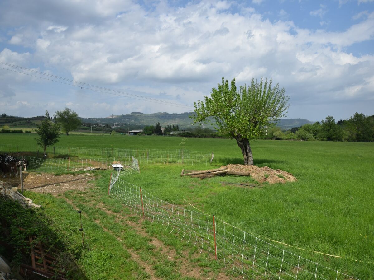 Holiday house Farmside Cottage in Mirabel - Outdoor photo 2