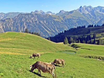 Holiday apartment All-inclusive-Holiday-flat Mountain view - Environment photo 32