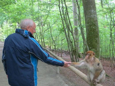 Holiday apartment All-inclusive-Holiday-flat Mountain view - Environment photo 39