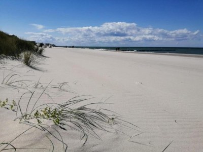 Apartment Ferienwohnung in Pepelow nahe der Ostsee - Environment photo 34