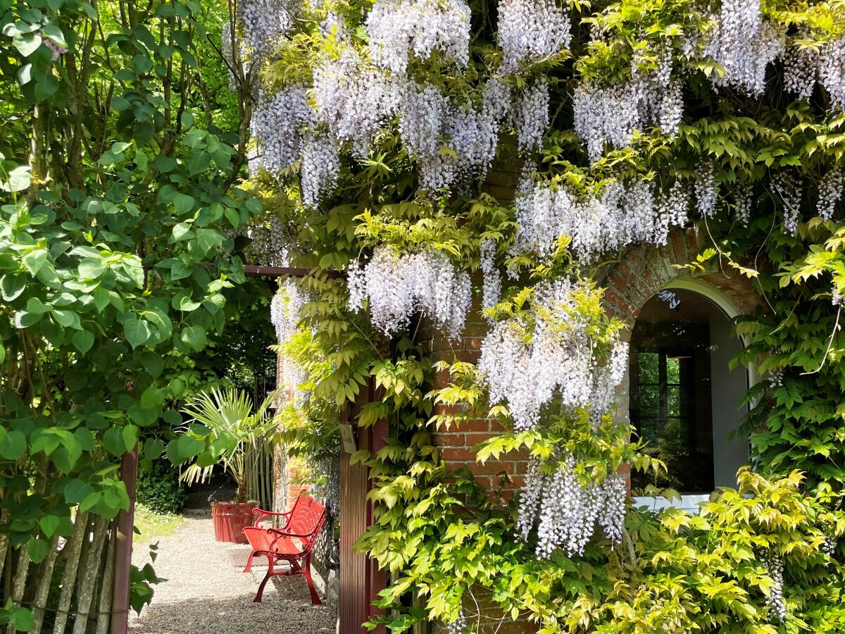 Holiday house La tisanerie - Outdoor photo 2