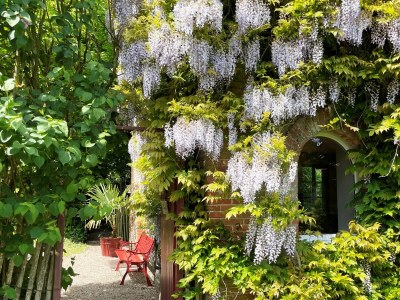 Holiday house La tisanerie - Outdoor photo 2