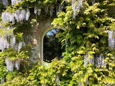 Holiday house La tisanerie - Outdoor photo 11