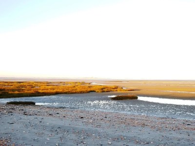 Holiday house La tisanerie - Environment photo 33