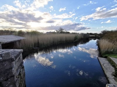 Holiday house La tisanerie - Environment photo 38