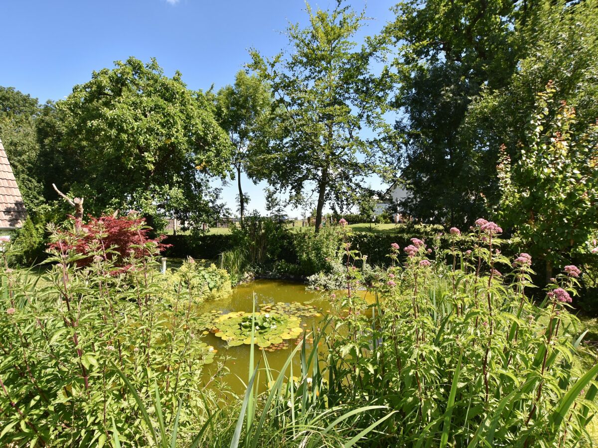 Apartment Wohnung in Pepelow in Meeresnähe - Outdoor photo 2