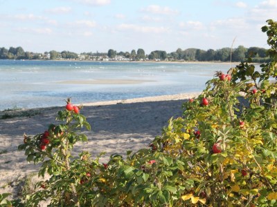 Apartment Wohnung in Pepelow in Meeresnähe - Environment photo 25