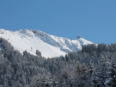 Holiday apartment PfefferhÃ¼sle - Environment photo 13