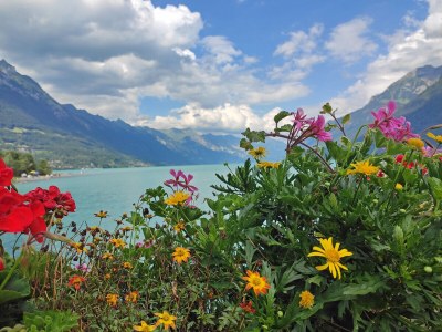 Holiday house "Marie" - Environment photo 21