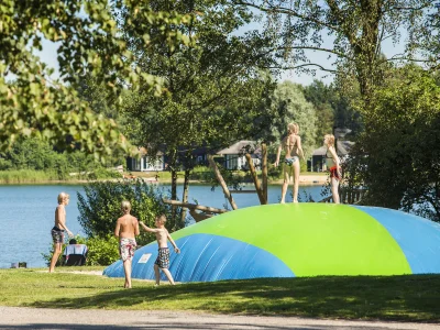 Holiday apartment De Tolplas - Outdoor photo 6