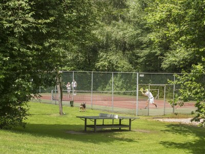 Holiday apartment De Tolplas - Environment photo 16