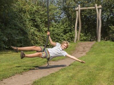 Holiday apartment De Tolplas - Environment photo 18