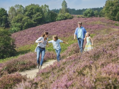 Holiday apartment De Tolplas - Environment photo 22