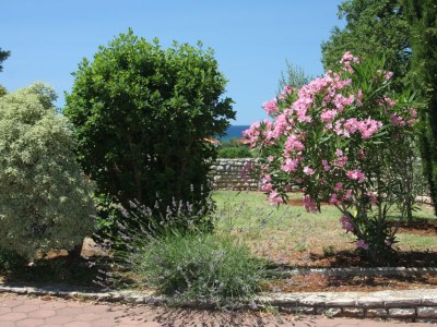 Holiday apartment im Haus Boba - Outdoor photo 13