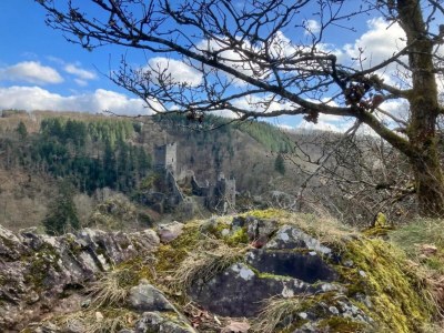 Apartment Wunderschöne Ferienwohnung im Burgenland - Environment photo 27