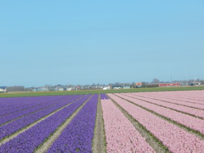 Holiday house Jurlijk - Environment photo 29