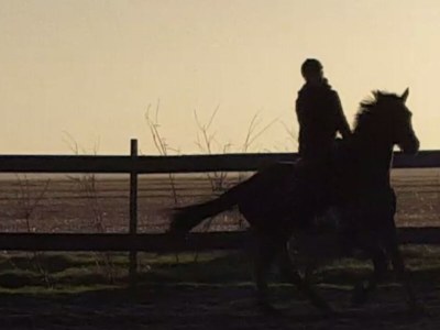 Holiday house Jurlijk - Environment photo 30