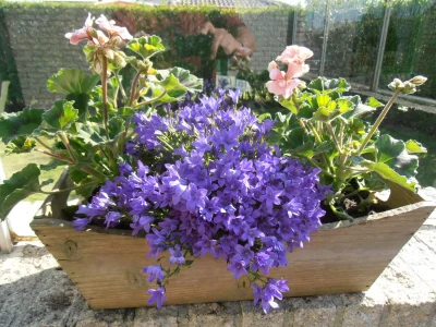 Holiday house Anna, Strandslag 37 - Outdoor photo 18