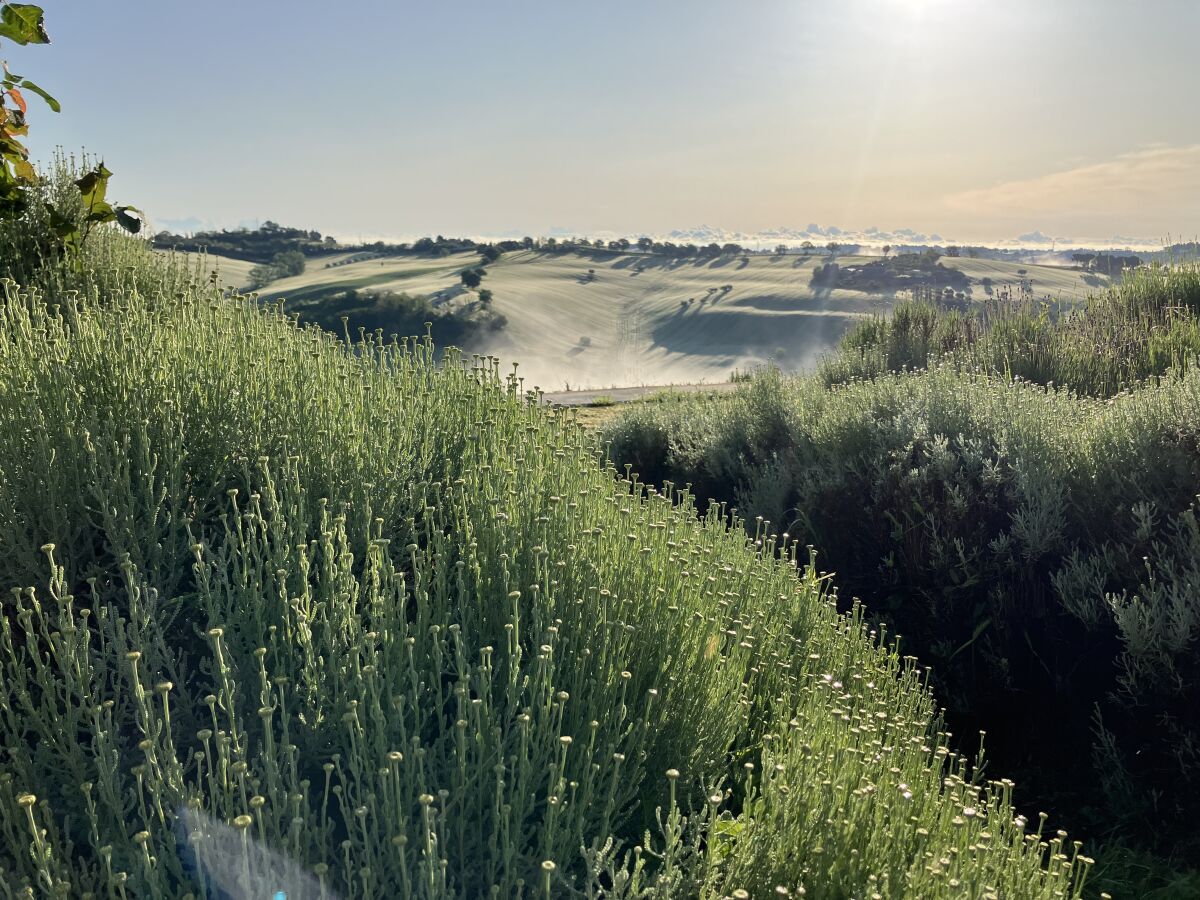 Holiday house Loggia Paradiso - Outdoor photo 3