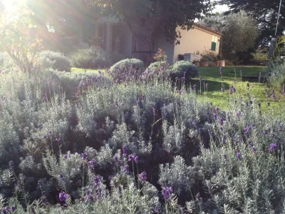 Holiday house Loggia Paradiso - Outdoor photo 21