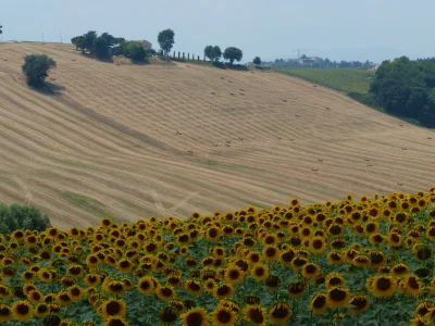 Holiday house Loggia Paradiso - Environment photo 36