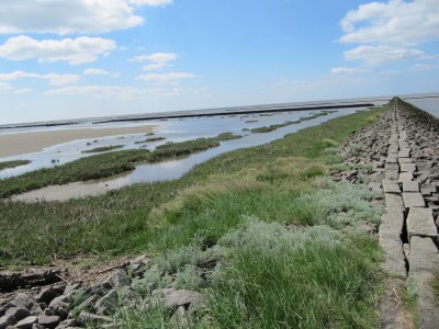 Holiday house "Lust auf Meer" holiday home - Outdoor photo 10