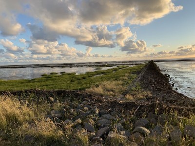 Holiday house "Lust auf Meer" holiday home - Environment photo 24