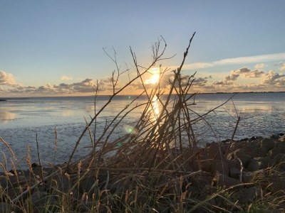 Holiday house "Lust auf Meer" holiday home - Environment photo 26